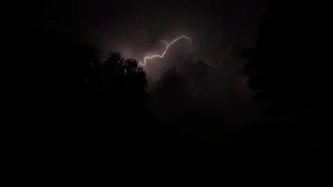 Branches of impressive lightning arc across the sky at night. Video stock 73607503