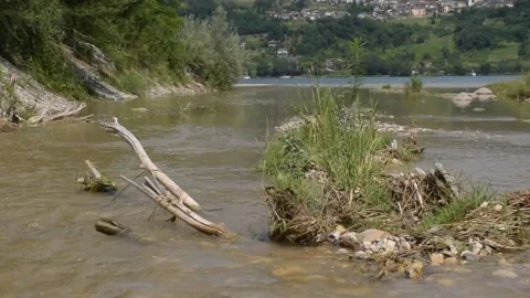 Branches in Italian flowing river Stock Footage 158304939