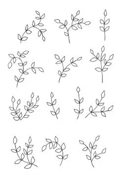 Branches with leaves. Stock Illustration