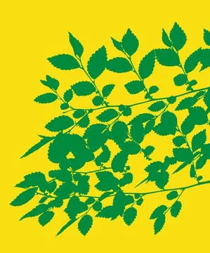 Branches with leaves on yellow background. Stock Illustration