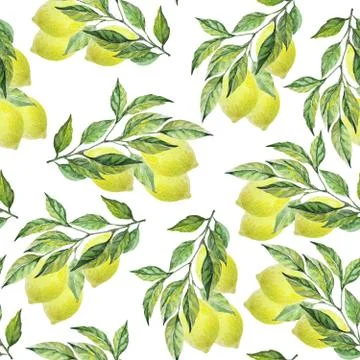 Branches with lemons pattern on white background. Seamless watercolor Illustrazione stock