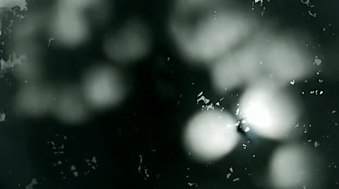 Branches, light and shadows through Window Stock Footage 22419905