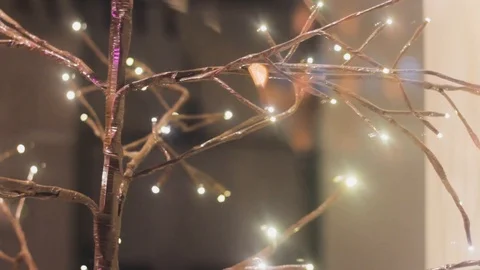 Branches lights decorative plant. tree buds lights glowing. Vídeos de archivo 119795282