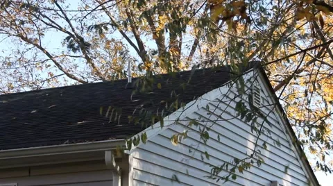 Branches moving over the rooftop of a house Stock Footage 44447029