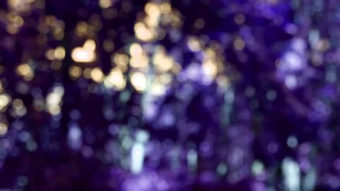 The branches of the moving trees are blurred. Defocusing the background. Bokeh. Stock Footage 166951421