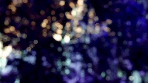 The branches of the moving trees are blurred. Defocusing the background. Bokeh. Stock Footage 167901820