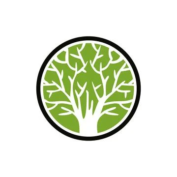 Branches Oak Tree Logo Template Illustration Design Stock Illustration