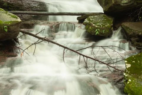 Branches over flowing stream Stock Photos