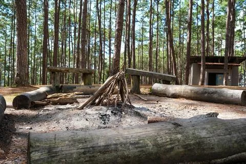 Branches pile for campfire in the woods. Stock Photos