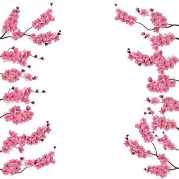 Branches with a pink cherry. Buds. Sakura. From two sides. Centered adverti.. Stock Illustration