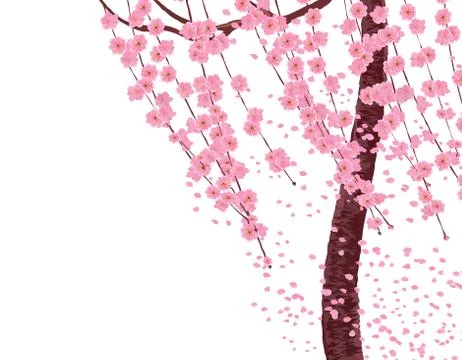 Branches with pink flowers and cherry buds, the trunk of a tree. Sakura. The  Stock Illustration