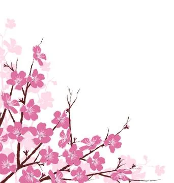 Branches with Pink Flowers Isolated on White Illustrazione stock