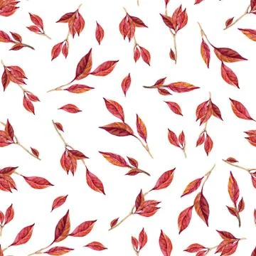 Branches of red leaves pattern. Watercolor seamless illustration. Ideal for Stock Illustration