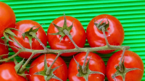 Branches of red tomatoes Stock Footage 51349196