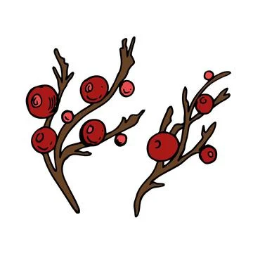 Branches with red winter berries on a white background, winter joy concept Stock Illustration