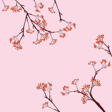 Branches of rowan Stock Illustration