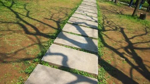 Branches shadow at the park Stock Photos