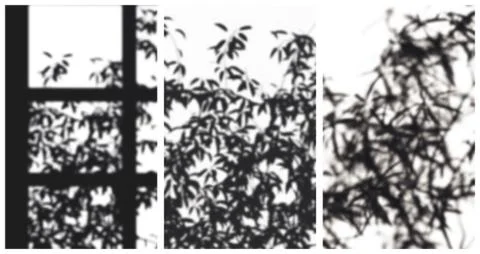 Branches shadows mini set Stock Illustration