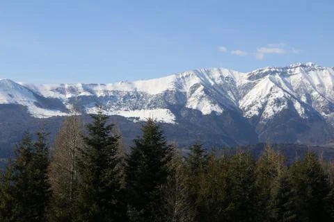 The branches of some trees and the snowy mountain beyond Stock Photos