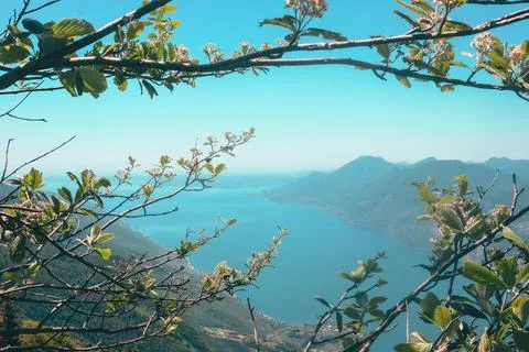 Branches   with   spring   blossoms   frame   a   mountian   view Stock Photos