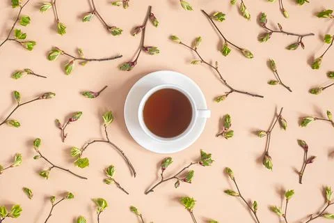 Branches with spring tree buds, young leaves and cup of tea on beige backgrou Stock Photos