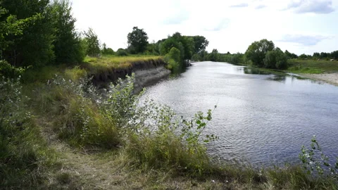 Branches stagger from the wind on the river bank. Vidéo 133167898