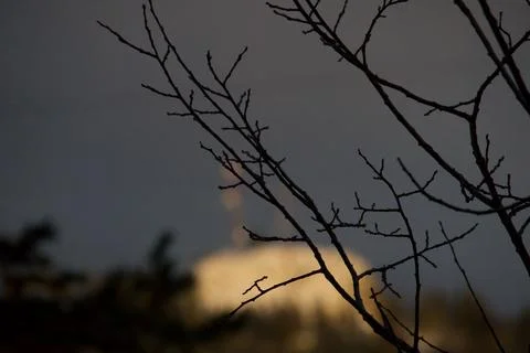 Branches with sunset on mountain inbackground Stock Photos