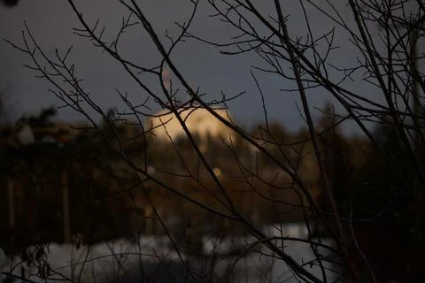 Branches with sunset on mountain inbackground Stock Photos