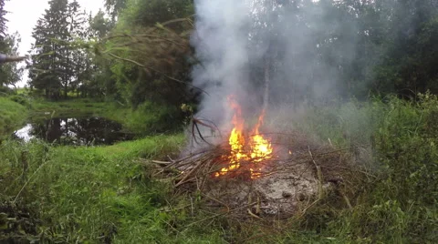 Branches thrown in fire burning on pond shore, 4K Stock Footage 53878046