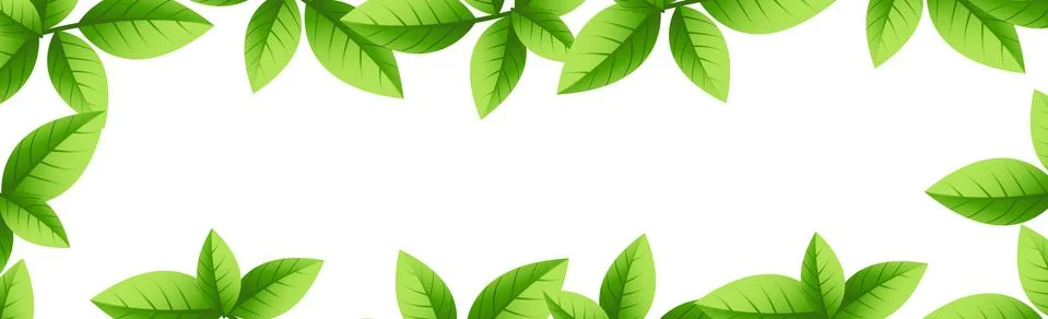 Branches of a tree and green leaf on white background Stock Illustration