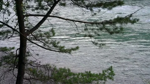 Branches of a tree are heard against the backdrop of a mountain river Video stock 79734615