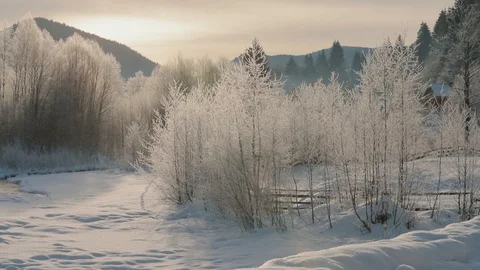 Branches of a tree covered with sparkling ice, lit by the sun in the winter Stock Footage 123517068