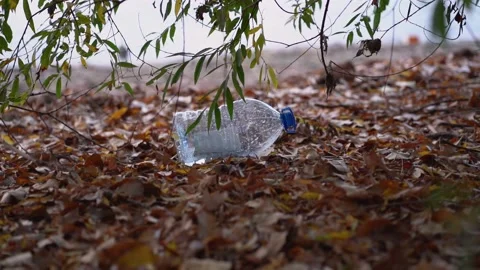 Branches of tree lean over rubbish on ground, abandoned water bottle in forest Stock Footage 139200587