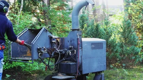 Branches from tree pruning after logging are pushed into the shredder 스톡 동영상 219194773