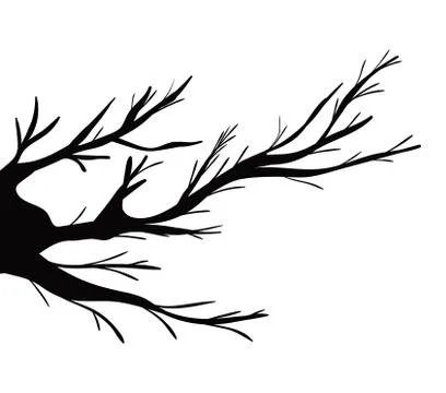 Branches tree silhouette vector design Stock Illustration