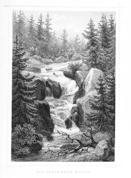 Branches Tree Waterfalls Rocks Scene Nature Antique Sketch Drawing Stock Illustration