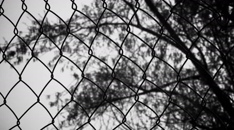 Branches of a tree in the wind behind a metal fence: silhouette Stock Footage 62874711