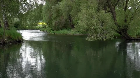 Branches of trees above the river Stock Footage 65492966