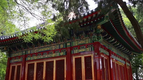 Branches of trees against the background of China Beijing Forbidden city Stock Footage 64947561