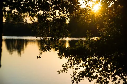 Branches of trees against the background of a sunset Stock Photos