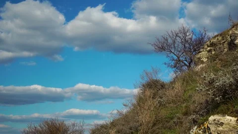 Branches of trees and bushes move in the wind on wild nature hill under cloudy Stock Footage 107335352