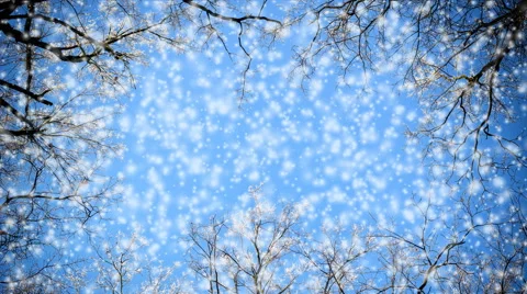 Branches of trees and falling snow against a blue sky 動画素材 45725710
