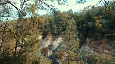 Branches of Trees and Mountainous Terrain. 4k Video Stock Footage 67957997