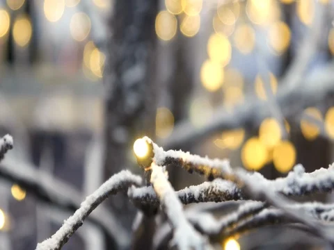 Branches of trees are decorated with light bulbs Stock Footage 82018787