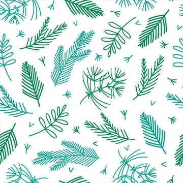 Branches of trees - spruce, pine, cedar, fir. Hand-drawn Stock Illustration