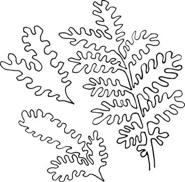 Branches Vector hand drawn herbs set isolated on white background Stock Illustration