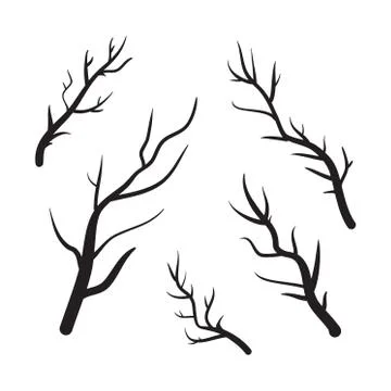 Branches vector hand drawn illustration. Icons on transparent background Stock Illustration