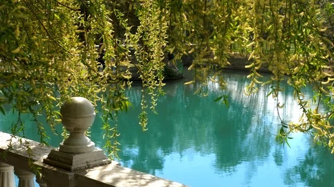 Branches of the weeping willow over the water. the reflection in the water. Stock Footage 128013459