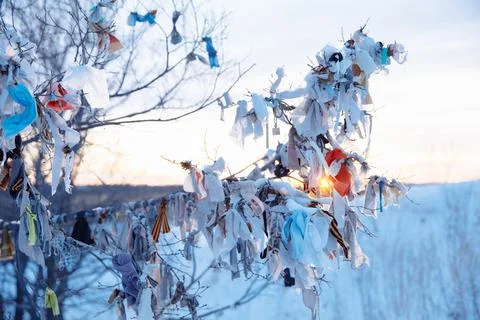 The branches of the winter tree are hung with ribbons in honor of tradition. Stock Photos