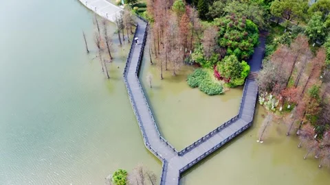 Branching boardwalk among waterside trees at Haizhu Lake in Guangzhou China Stock Footage 346030286